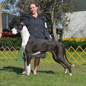 Meet your Posher, Carrie